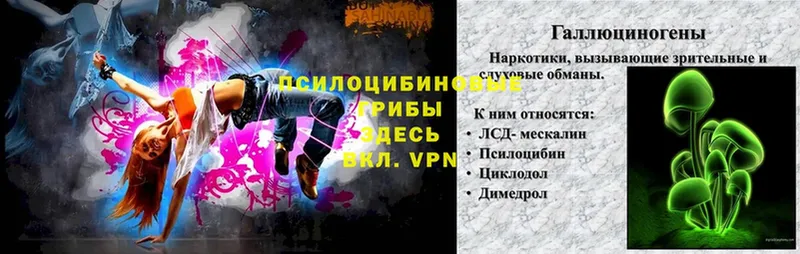 Купить наркотики Орлов Cocaine  Канабис  Меф мяу мяу  Alpha-PVP  ГЕРОИН  Гашиш 