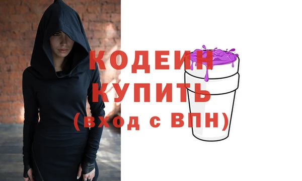 хмурый Лиски