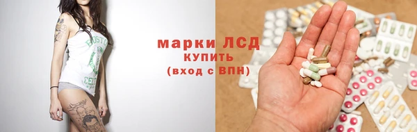 PSILOCYBIN Майский