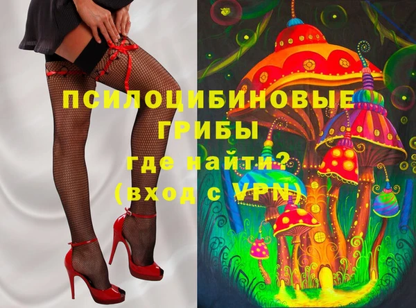 хмурый Лиски