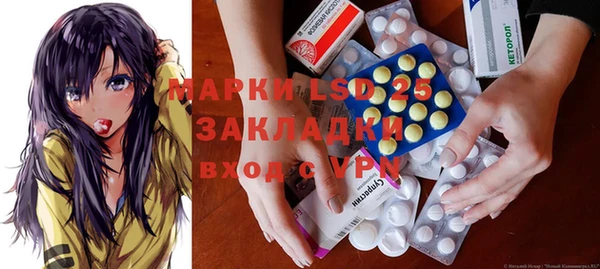 PSILOCYBIN Майский