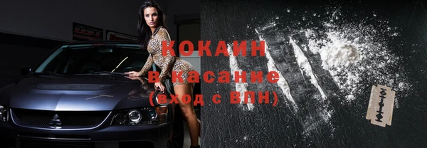 хмурый Лиски